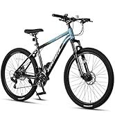Neptune AVASTA 自転車本体 380mm ステップオーバー ロード大人用 700C (アバスタ) AVASTA Amazon.co.jp: 自転車本体